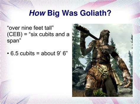 6 cubits is how many feet|how tall is five cubits.